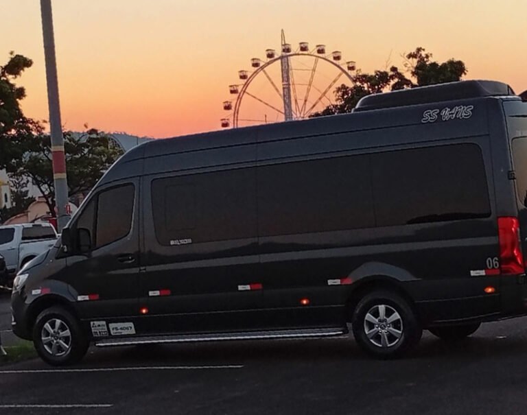 ss-van-02