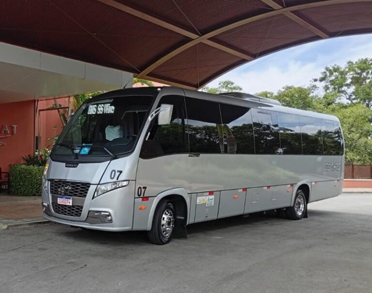 ss-van-06