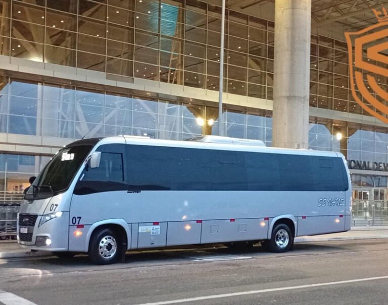 ss-van-08