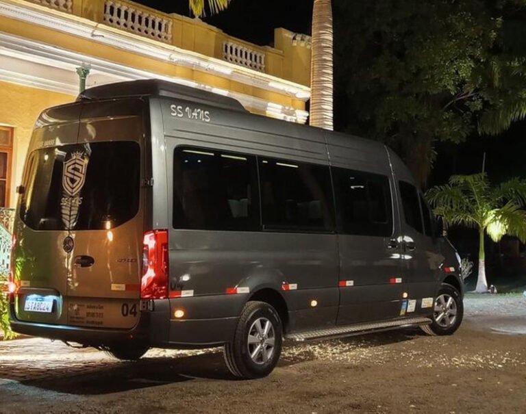 ss-van-09