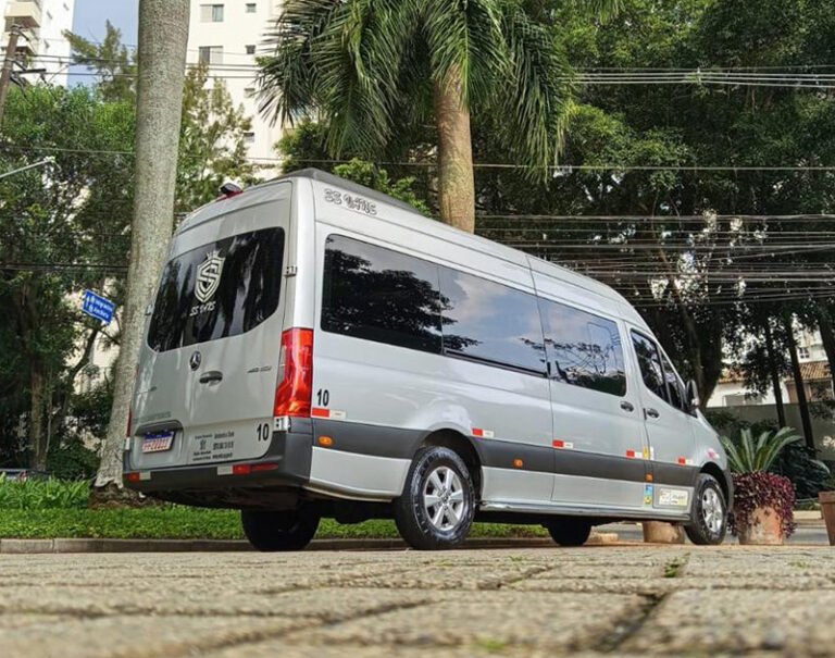 ss-van-11